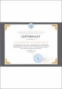 Зображення мініатюри