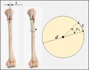 Зображення мініатюри